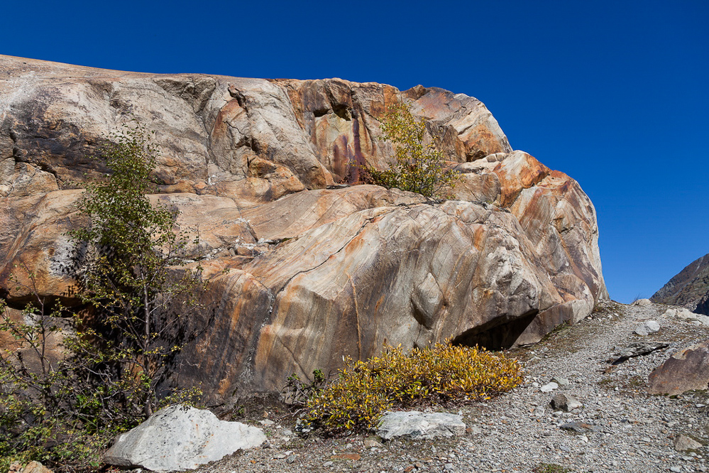 aletsch_130 - Rost