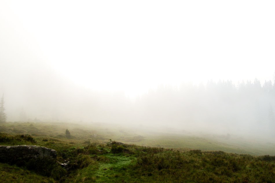 Etzelstock - ©MD - 004 - Tüfenwald - immer noch Nebel
