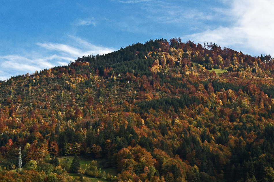 Herbst08 - ©MD - 010 - Und dann wurde es Herbst in voller Pracht - Schwanderberg