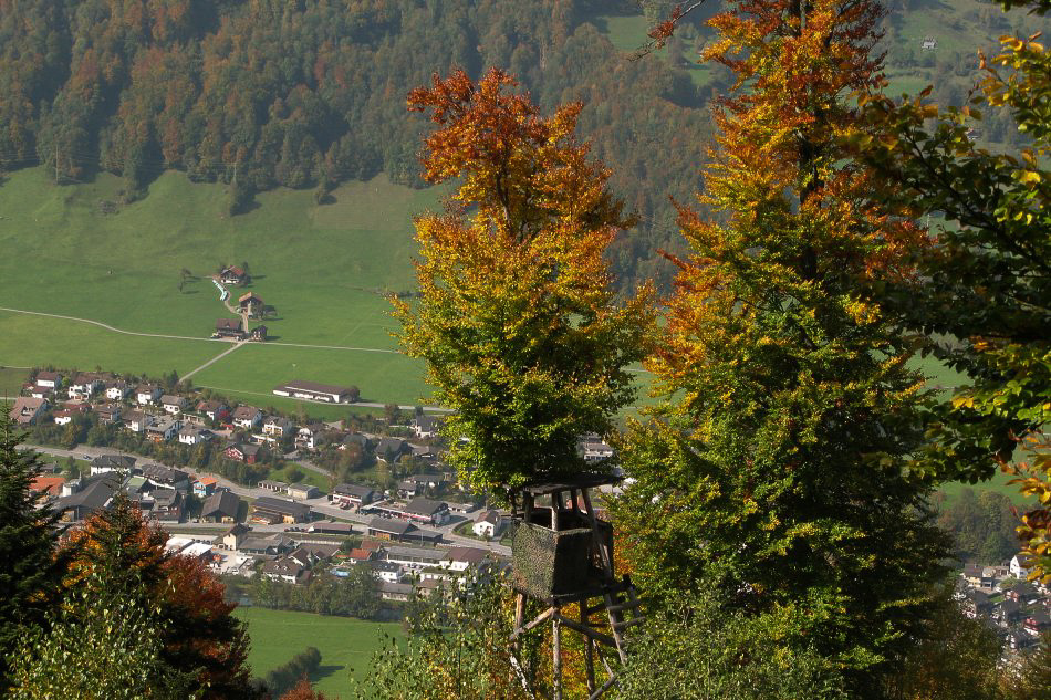 Herbst08 - ©MD - 016 - Schwanden Süd
