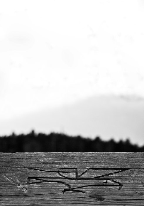 Nebelmeer - ©MD - 122 - Adler vor dem Nebelmeer - Tschüss und Prost