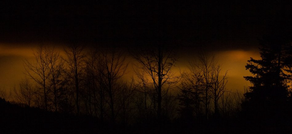 Nebelmeer - ©MD - 124 - Nebel im Wald