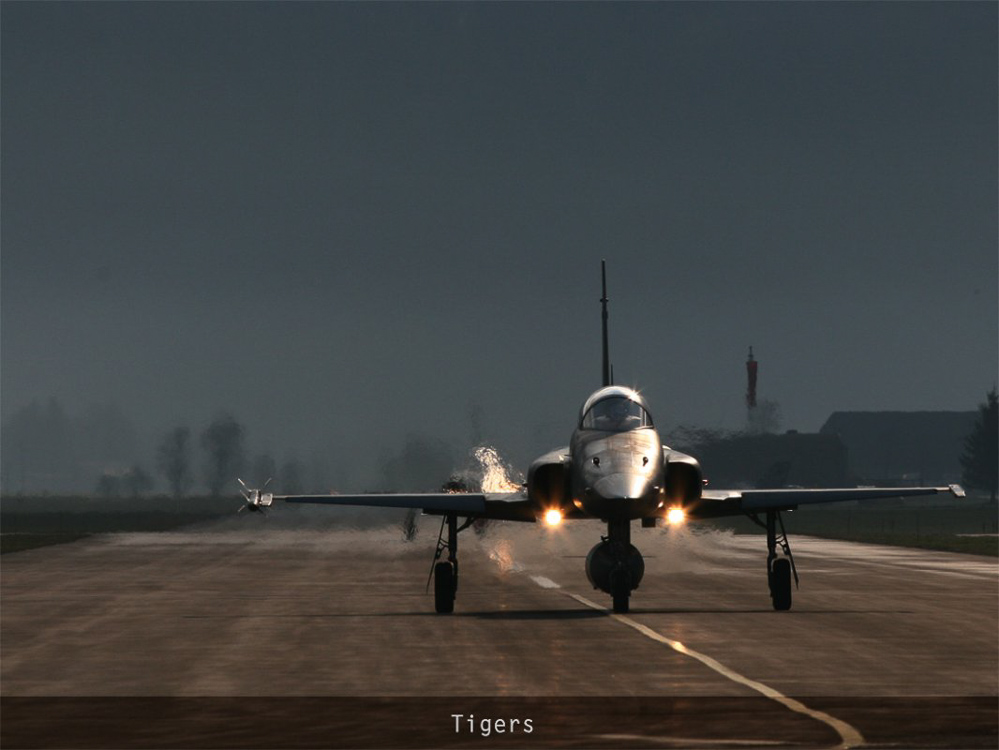 Meiringen Airbase - © Markus Dussy - 0036