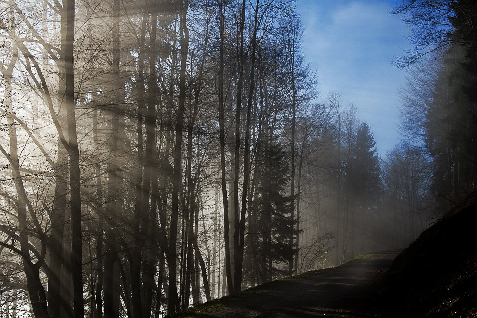 Nebel - ©MD - 002 - Sonnenarme