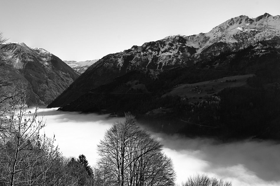 Nebel - ©MD - 004 - Tannenberg