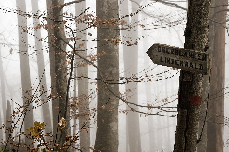 Nebel - ©MD - 008 - Abstieg am Mittag