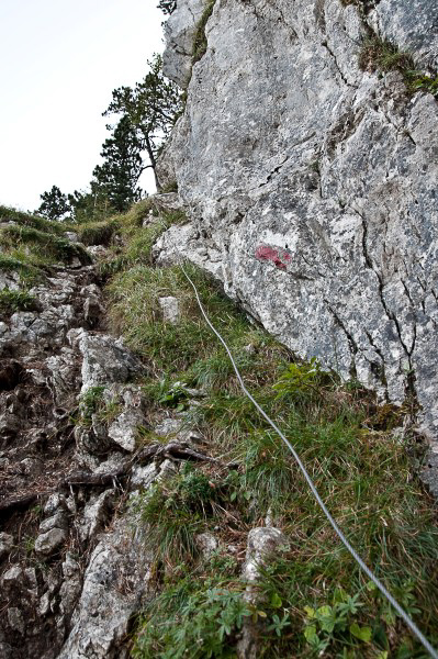 PS@Mollis - 005 - Felsband mit Fixseil im Aufstieg zum Geisskappel