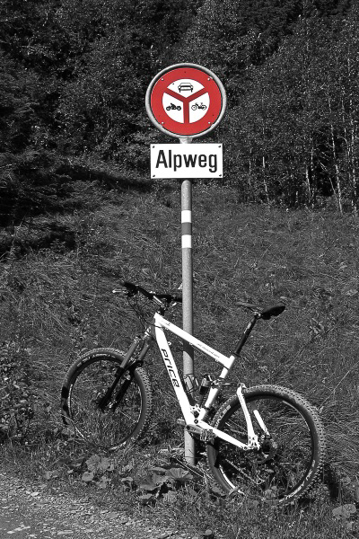 Sommer 09 - 010 - Ricos Bike @ Alpweg