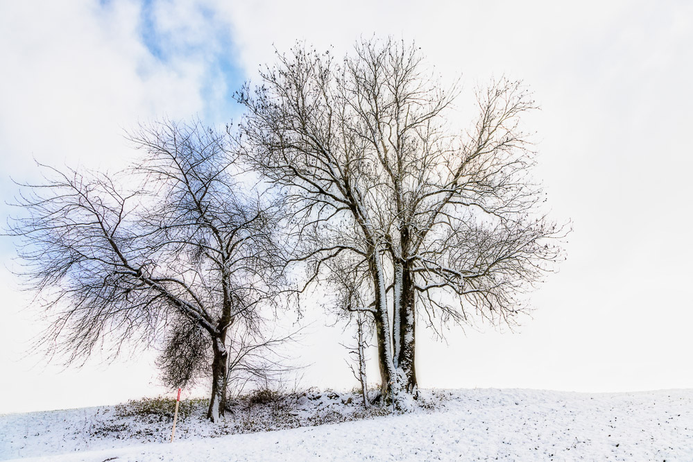 2022_046_Und es wird doch noch Winter