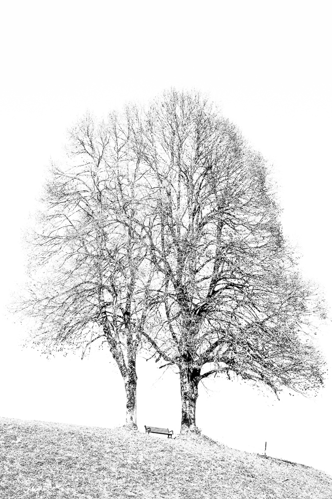 2024-048 - Herbst