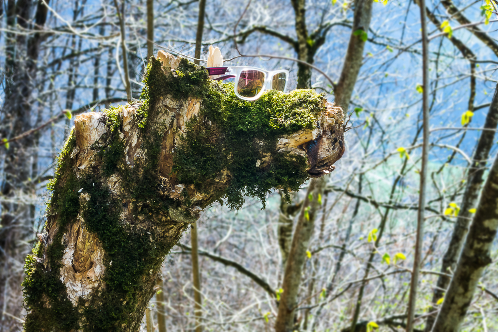 2025-11 wieder was mit Brille