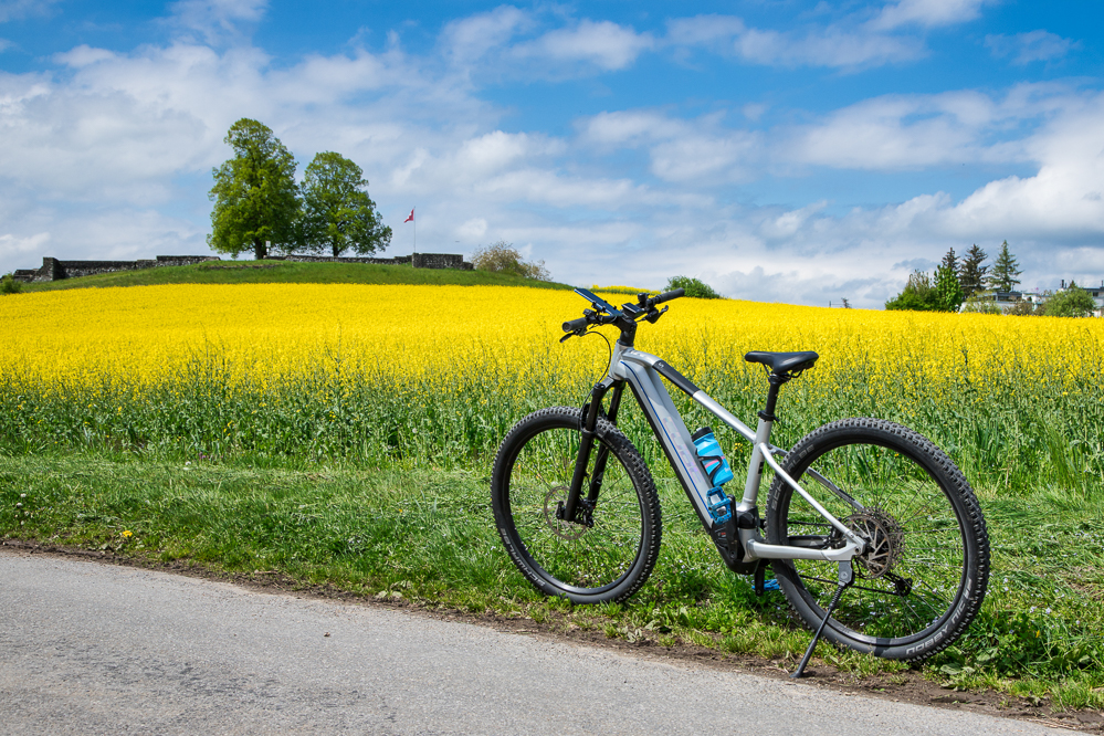 2025-15 es wird Frühling