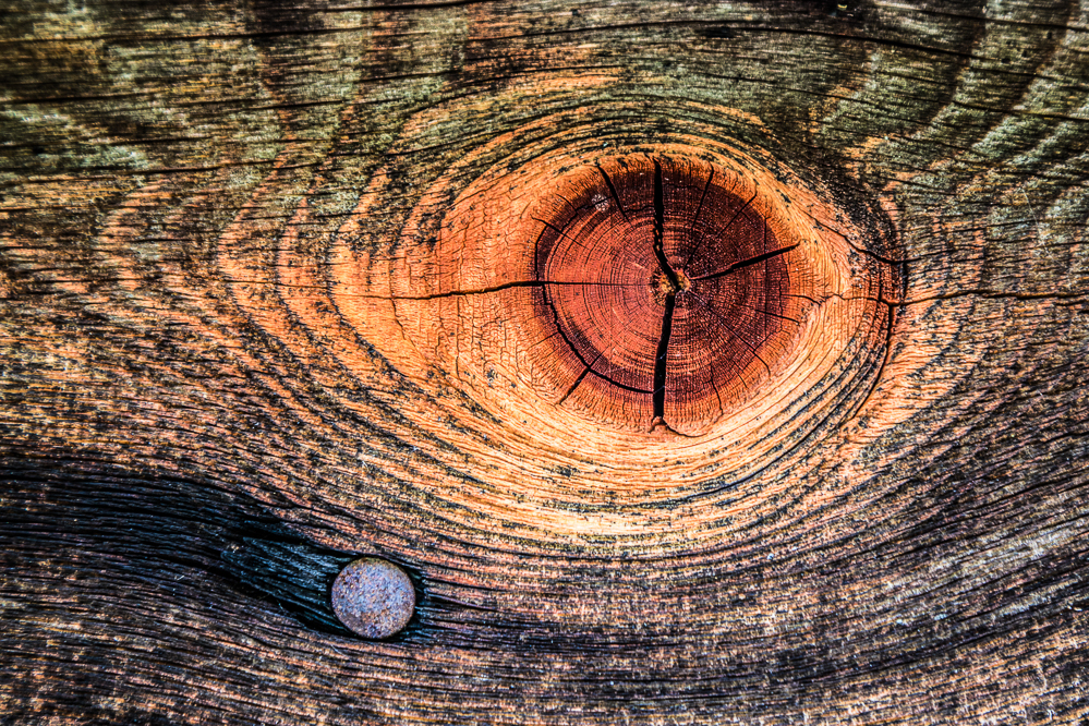 2025-21 Schreiner erklären das Planetensystem