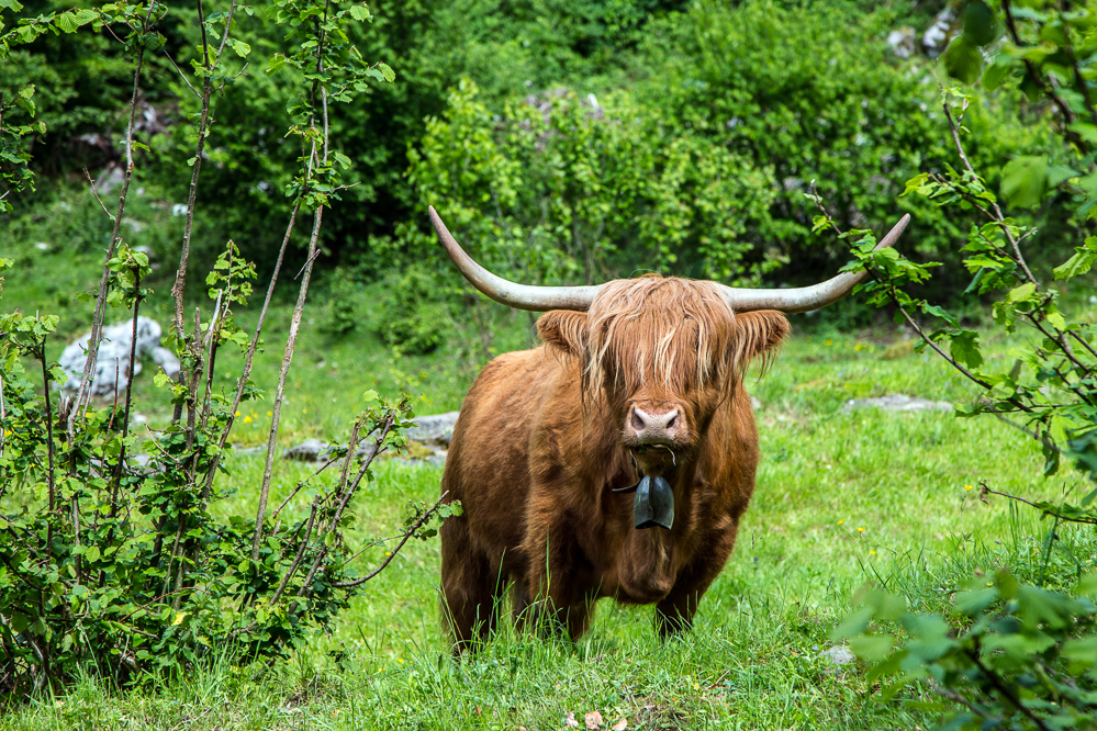 2025-23 sehr imposannt