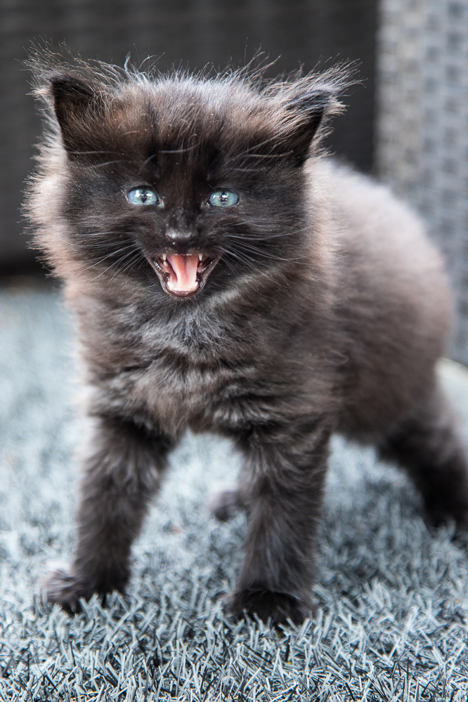 2025-31 einer von fünf