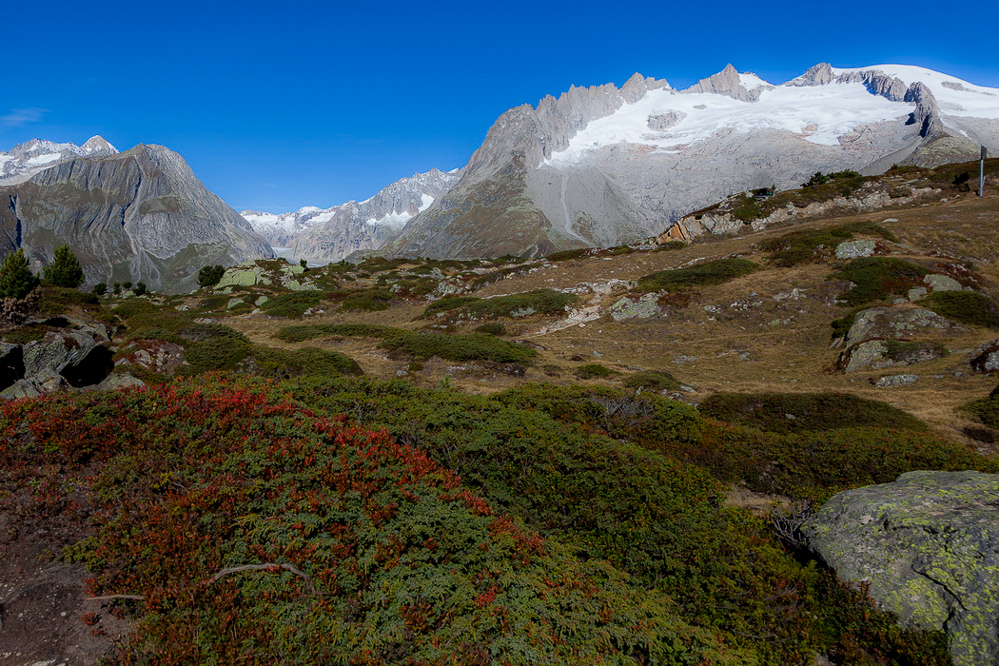 aletsch_108 - Traumhaft Natur