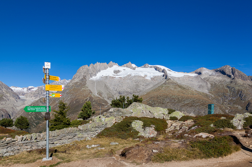 aletsch_109 - Traumhaft Natur