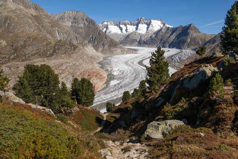 aletsch_120 - Runter