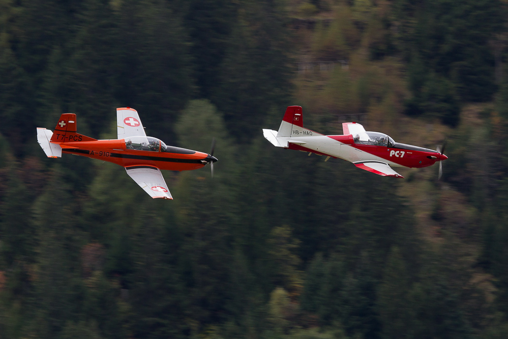 ambri_060