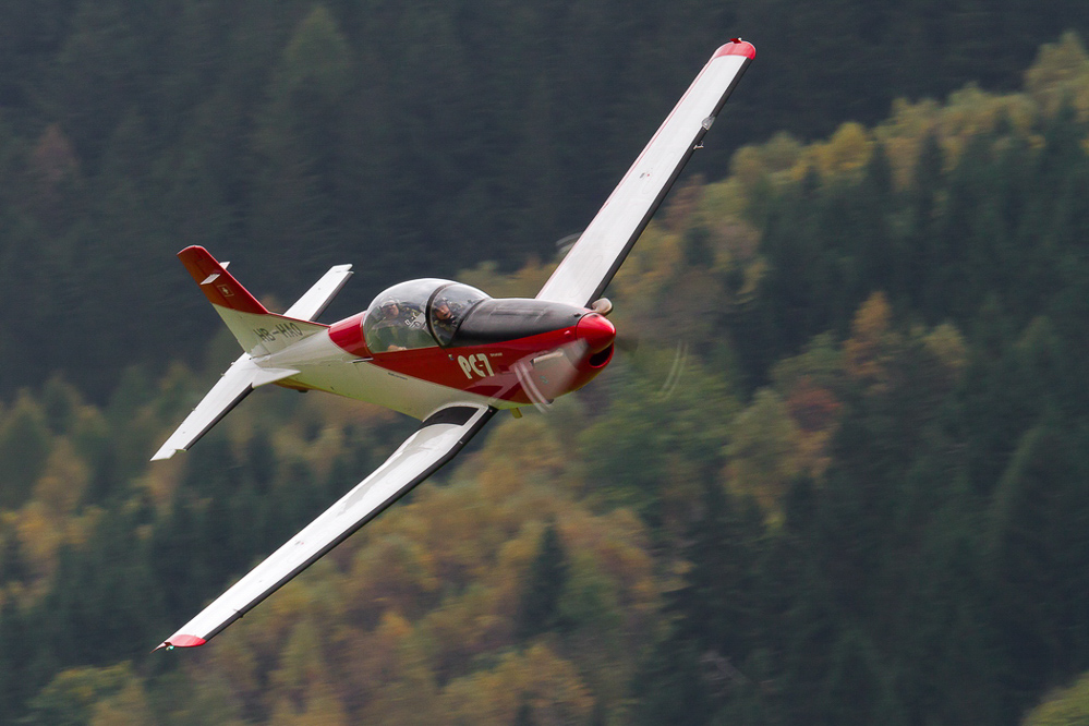 ambri_063