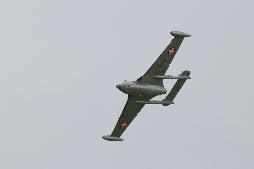 Emmen - 094 - Display Venom
