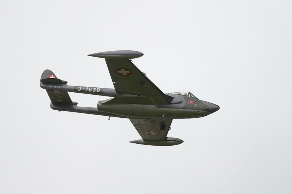 Emmen - 096 - Display Venom