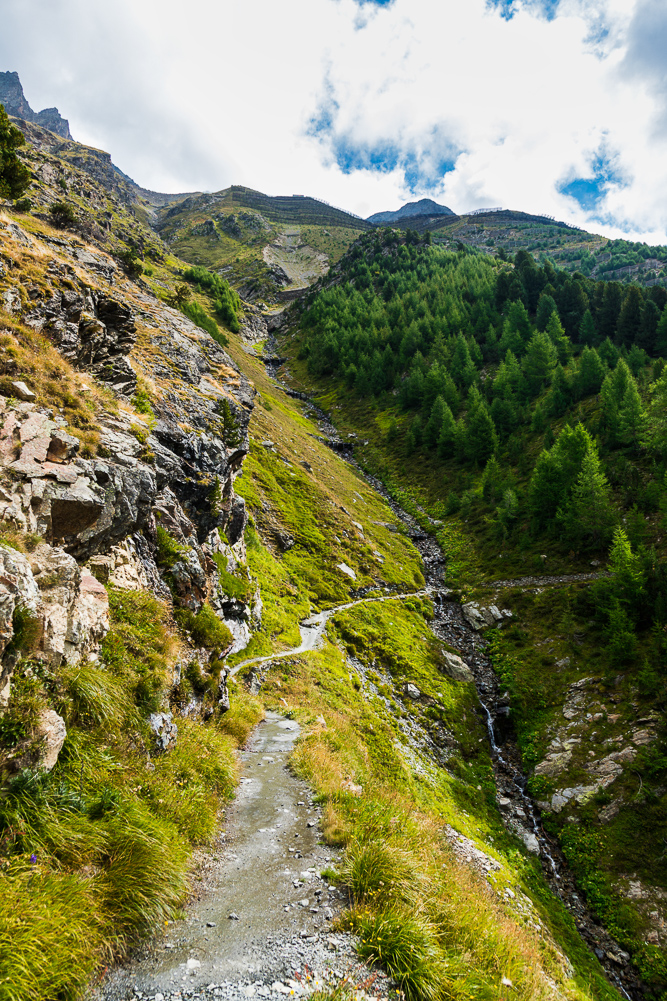 engadin_023_Hoehenweg nach Alp Languard