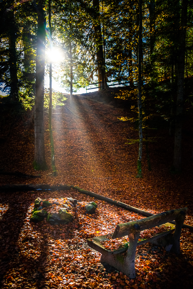 009 - Herbst 24 - Sonnenbank