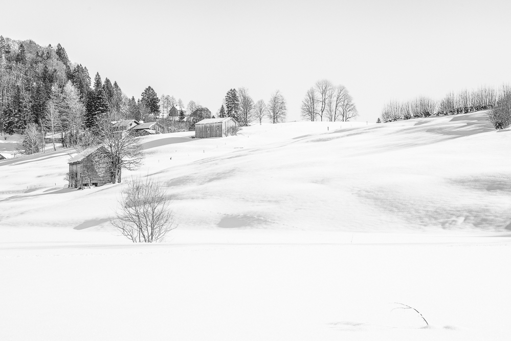 019 - Herbst 24 - Winterlandschaft im Toggenburg