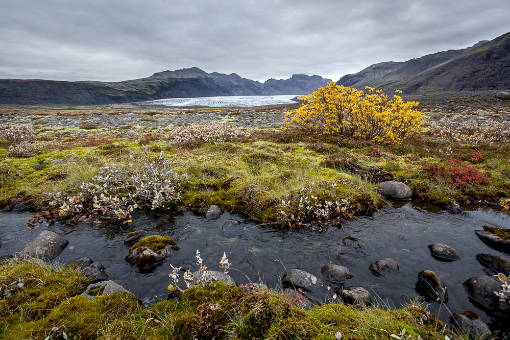 423_island_24-09_Vegetation