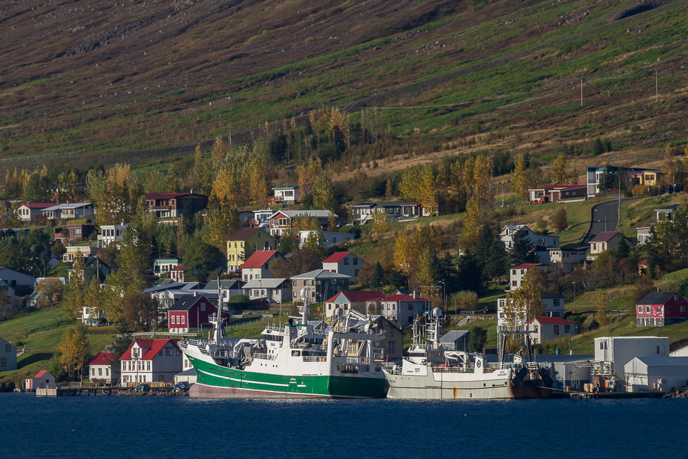 562_island_25-09_Fáskrúðsfjörður