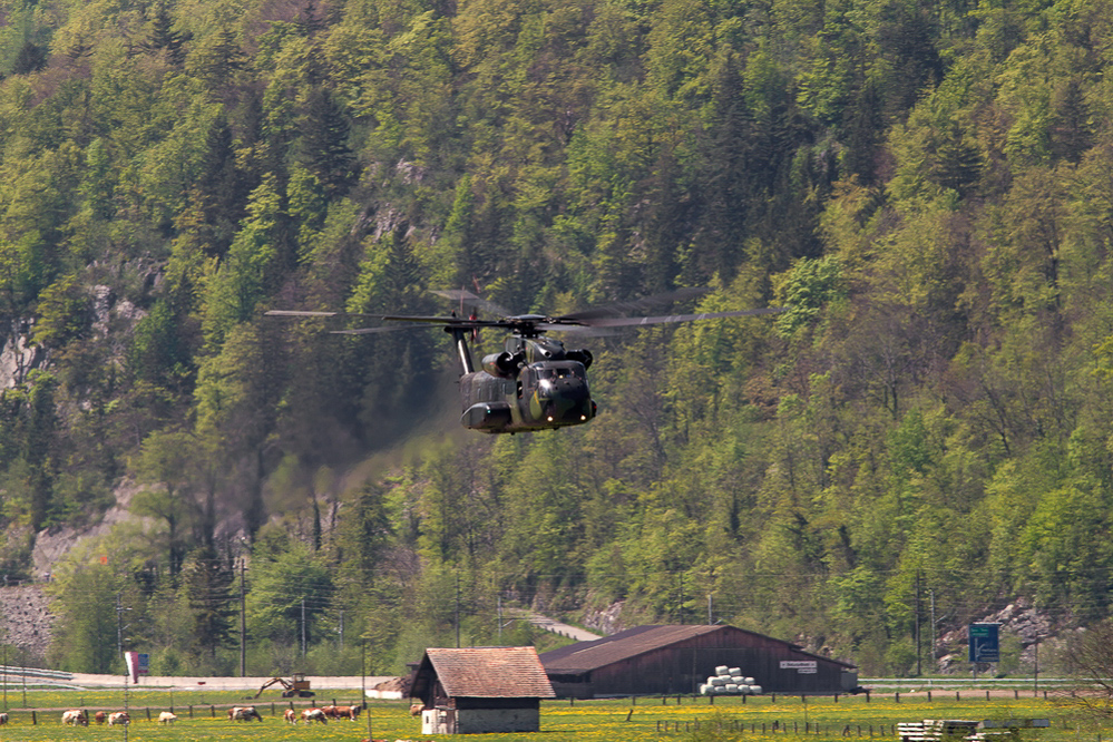 Meiringen - 083 - Das Monster