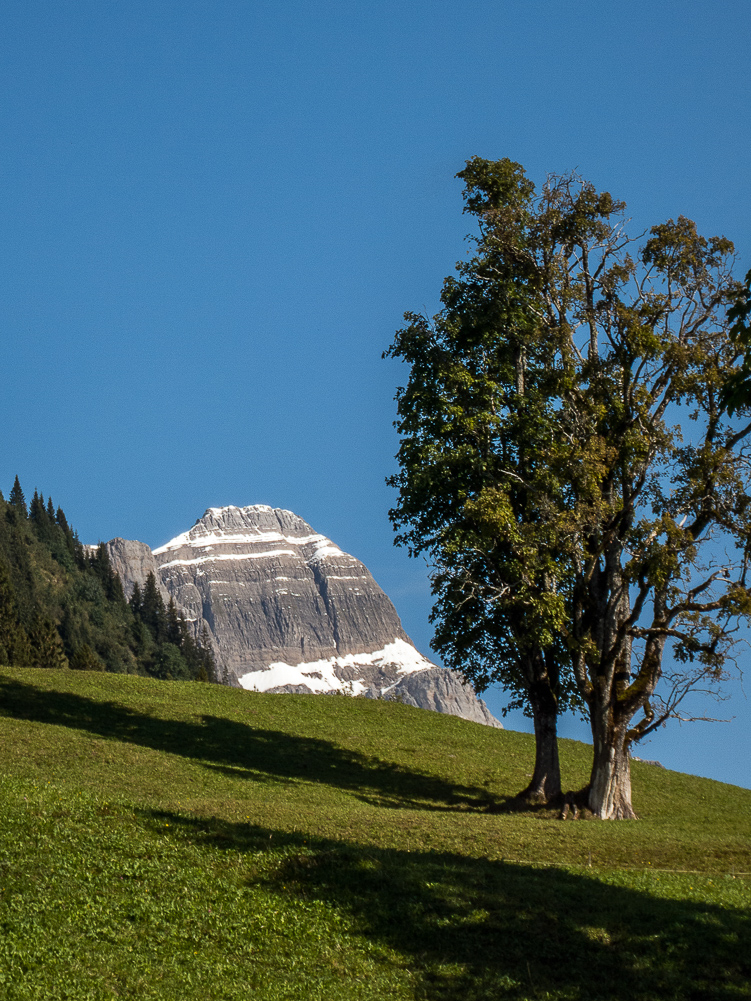 Oberblegi_004 Vrenelisgaertli