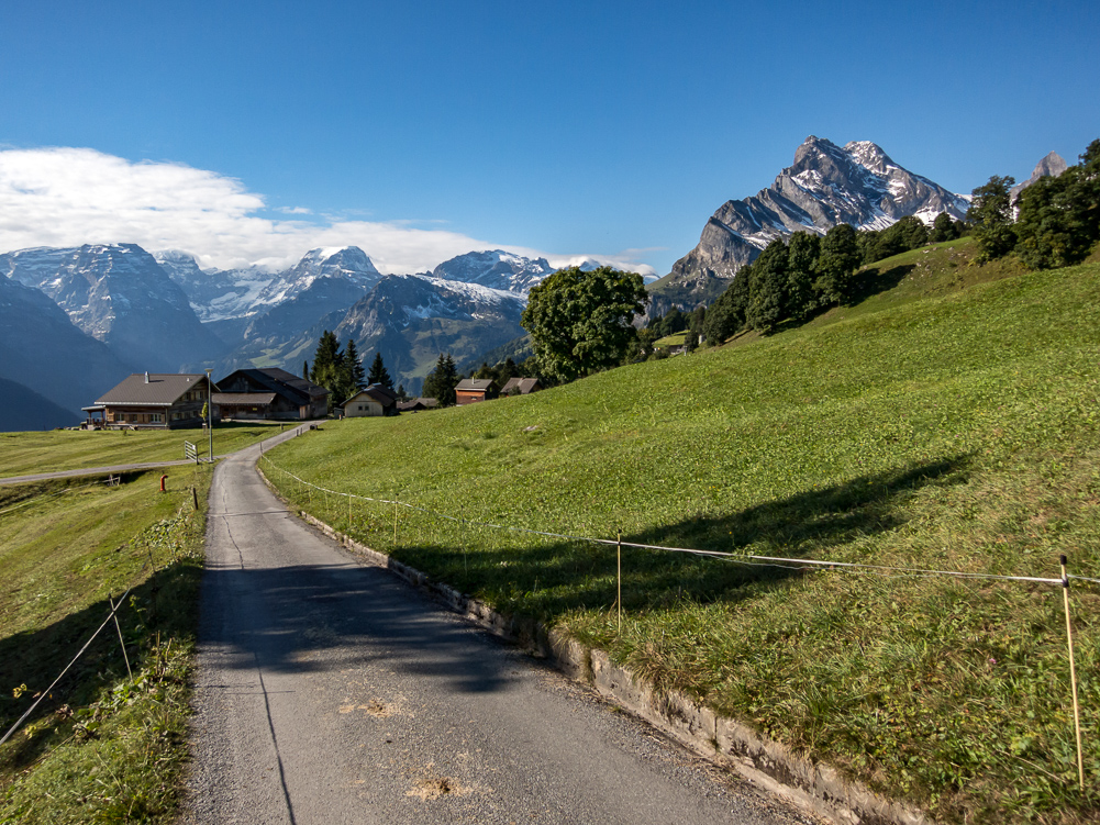 Oberblegi_005 Toedi links - Ortstock rechts