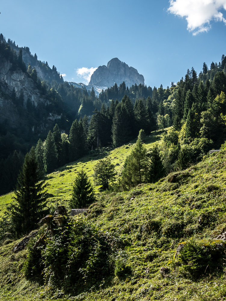 Oberblegi_009
