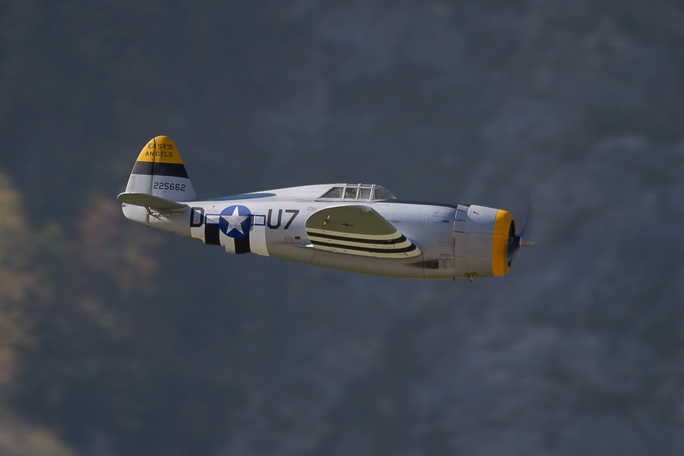 Warbird Mollis - 062