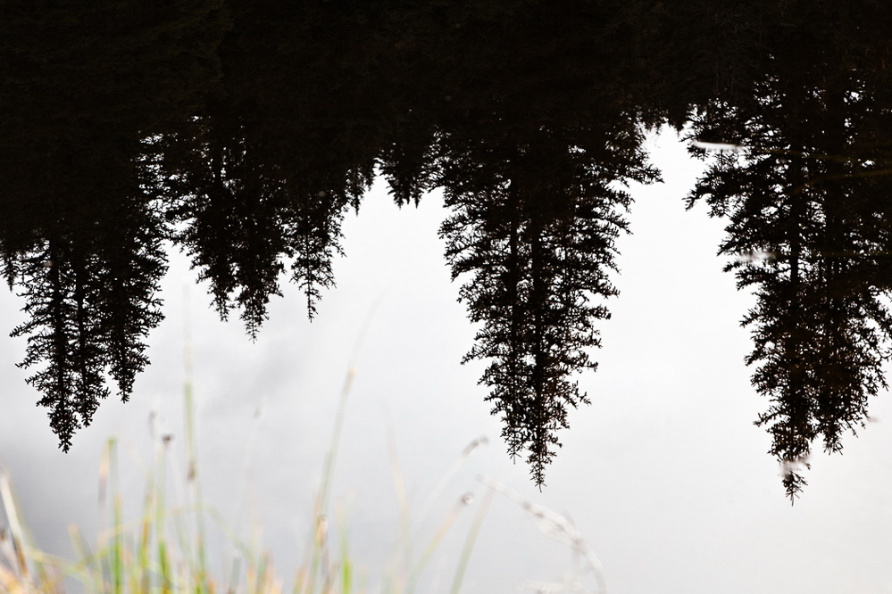wasser_036